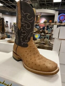 Q74 Cowtown Boots - WOMENS - Full Quill Cognac Ostrich Square Toe